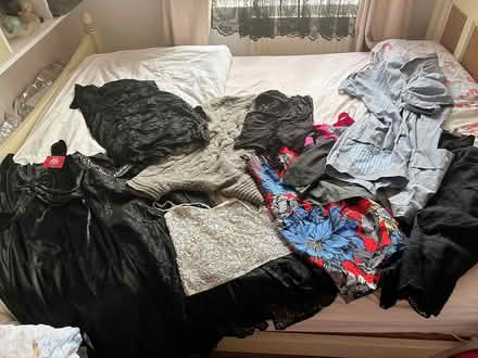 Photo of free Various women’s clothes size 14-18 (Camberwell SE5) #1