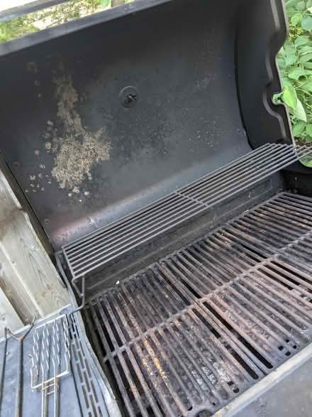 Photo of free Coleman BBQ (Cabbagetown) #2