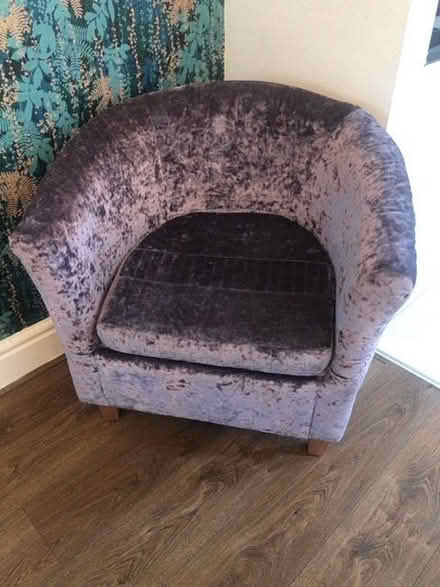 Photo of free Velvet upholstered tub chair (Cavendish DE23) #1