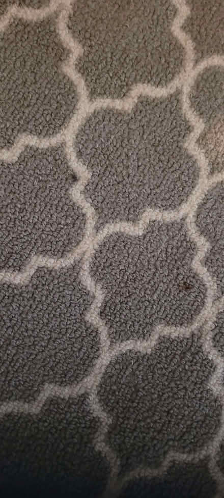 Photo of free Grey rug (Temple Cowley OX4) #4