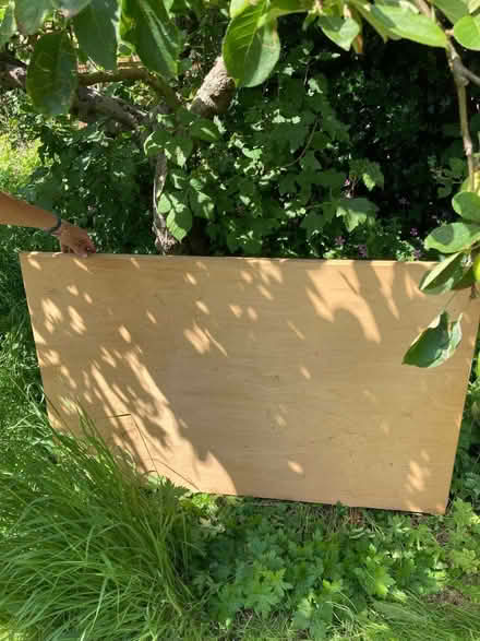 Photo of free Table tops and adjustable legs (Hyson Green NG1) #3