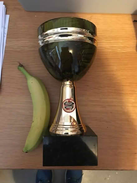 Photo of free Trophy ‘Special Award’ (West End LA3) #1
