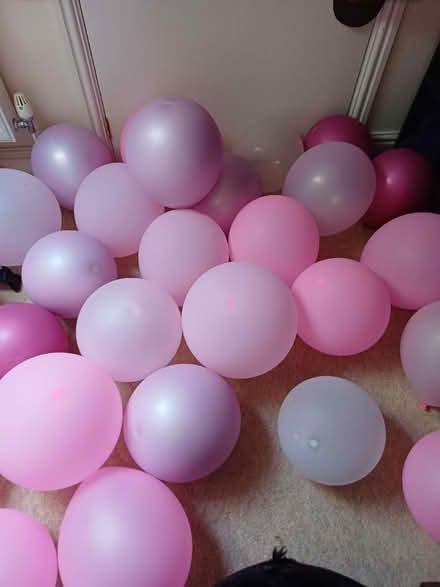 Photo of free Pink balloons (Bath BA2) #1