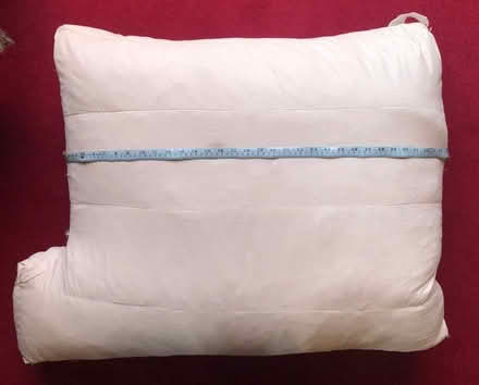 Photo of free Sofa Cushions (Moss Side PR26) #4