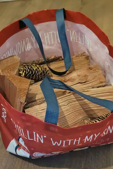 Photo of free Bag of wood (Temple Cowley OX4) #1