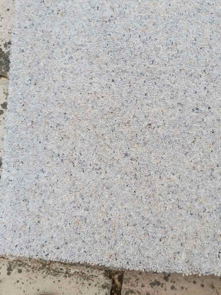Photo of free Carpet (Appleby-in-Westmorland CA16) #2