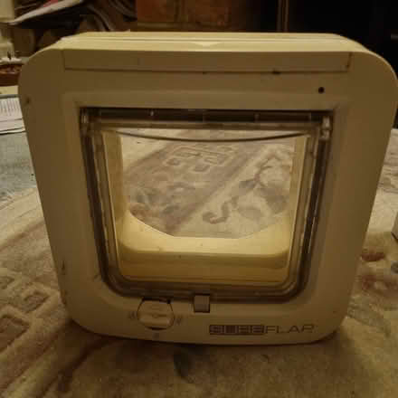 Photo of free cat flap (PO18) #2