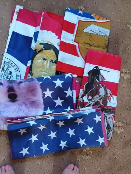 Photo of free American Flags (Moulsecoomb BN1) #1