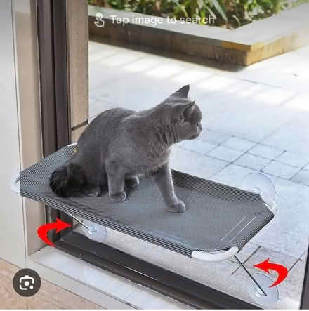 Photo of free Cat Window Perch (West Kensington, W14) #1