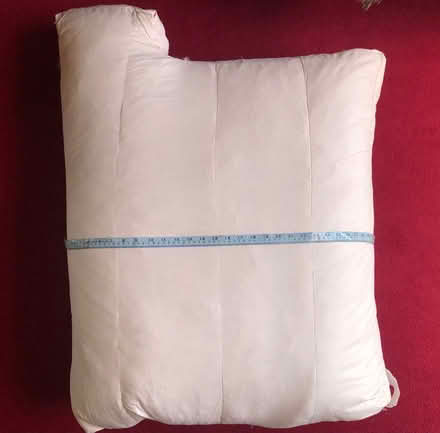 Photo of free Sofa Cushions (Moss Side PR26) #1