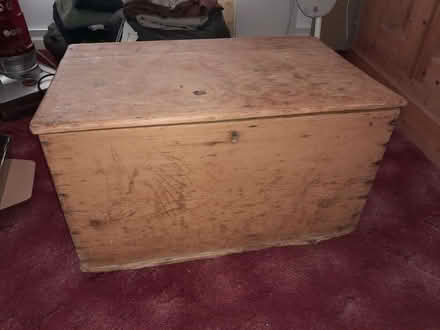 Photo of free Old pine trunk. (Penzance TR18) #1