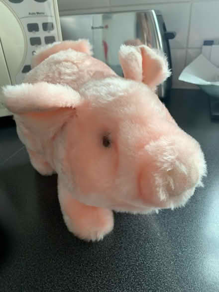 Photo of free Battery operated pig (Littleover Derby DE23) #1