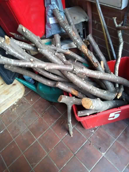 Photo of free Dry timber for wood turning or crafts (Barford CV35) #1