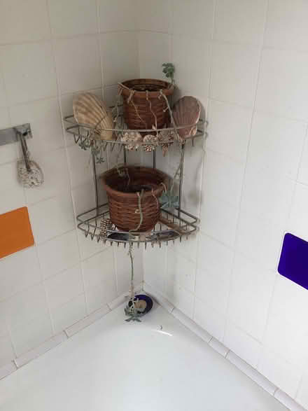 Photo of free 2 potted plants (Bridgetown TQ9) #1