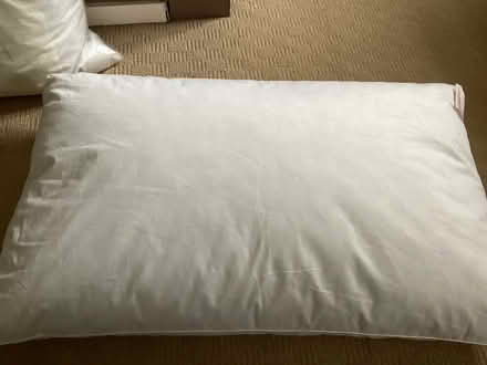 Photo of free Unused pillows (Barnet, Stirling Corner WD6) #1