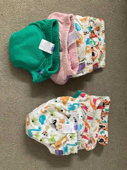 Photo of free Reusable pull ups (Hampton Hill TW12) #1