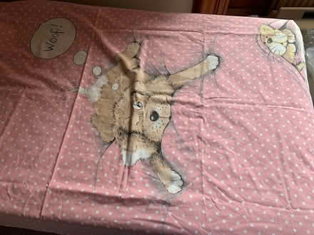 Photo of free Children’s single duvet cover and pillowcase (Mayfield EH9) #2