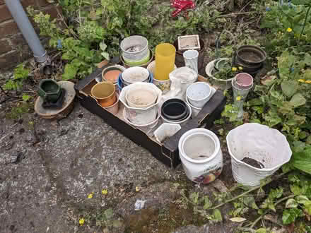Photo of free Ceramic plant pots (Higher Poynton SK12) #1