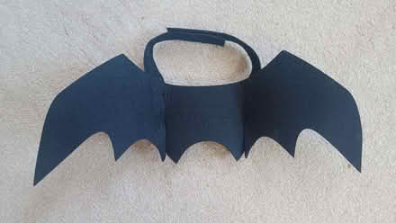 Photo of free Cat bat wings (adjustable) (Littlemore OX4) #2