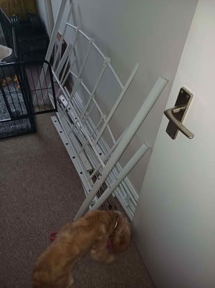 Photo of free Small double bed frame (Eastbourne BN21) #1
