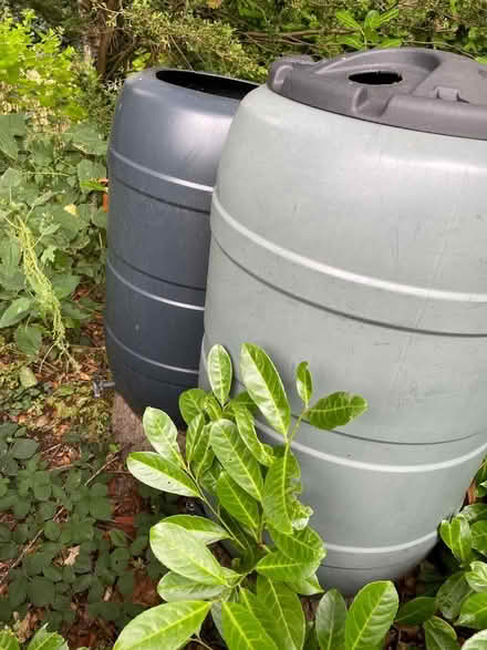 Photo of free 2 x waterbutts (Greenstead CO7) #1