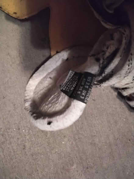 Photo of free Children's skates (Barrhaven) #1