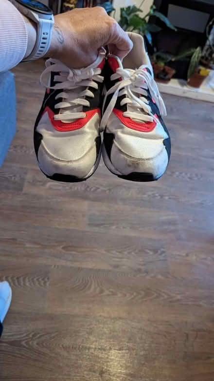 Photo of free Trainers (Bradford BD4) #1