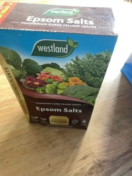 Photo of free Epsom salts unopened (Gyle EH12) #1