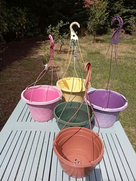 Photo of free Plastic flower pots - used for hanging baskets (Letchworth SG6) #1