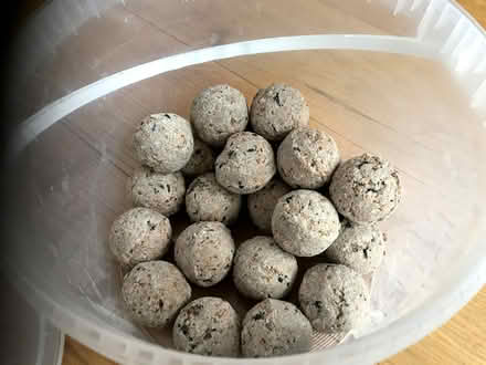 Photo of free Bird Fat Balls - approx. 22 left (Bristol BS3) #2