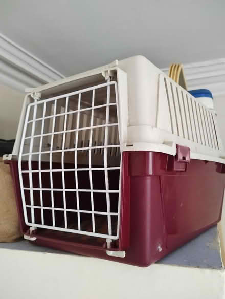 Photo of free Cat carrying box (EH26 Penicuik) #1