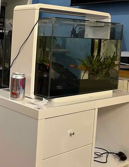 Photo of free Aqua Home 60 tank (PO13 Lee on solent) #1