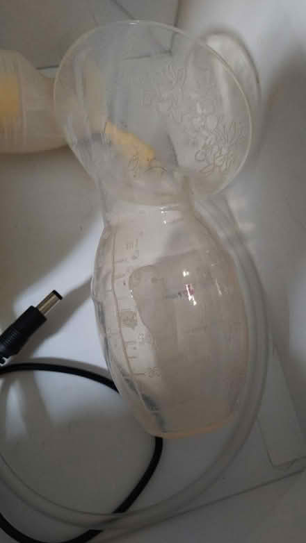 Photo of free Haaka (CM8 Silver End) #1