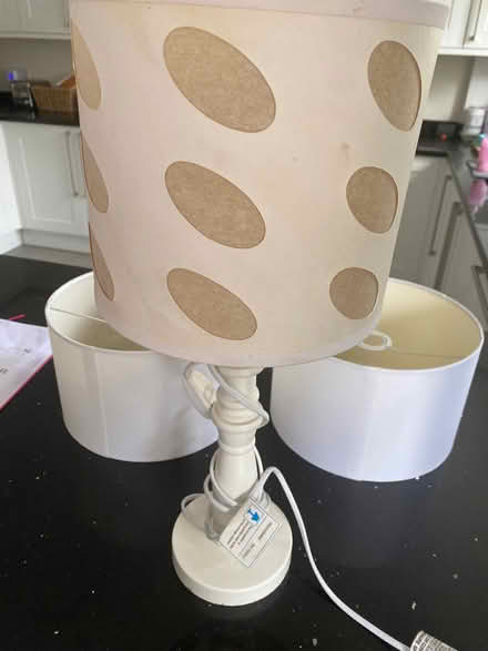 Photo of free 2 x lampshades and 1 x lamp (Bracknell Forest RG40) #1