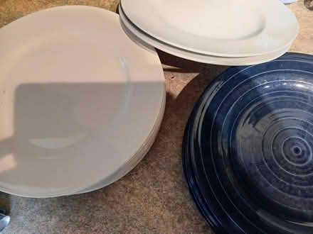 Photo of free Dinner plates (Middlewich CW10) #3