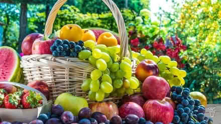 Photo of Fruit for jam or crumbles (Woodhouse S13) #1