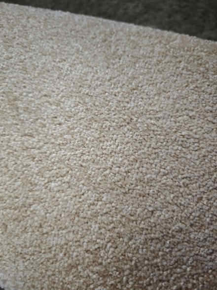 Photo of free Beige carpet off cut (topsham) #1