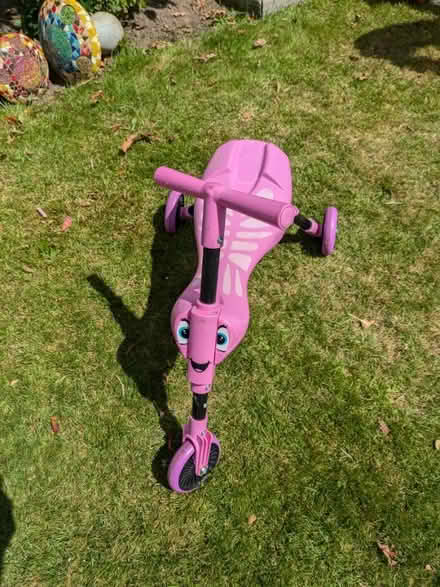 Photo of free Pink Scuttlebug (Ilkeston DE7) #2