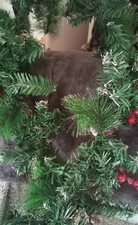 Photo of free Garland (Pendleton M6) #1