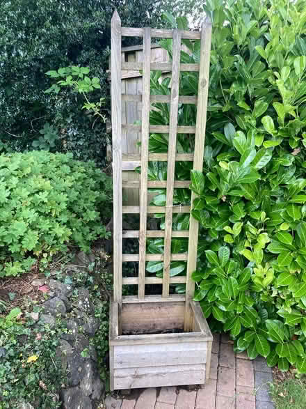 Photo of free Trellis planter (Tavistock)