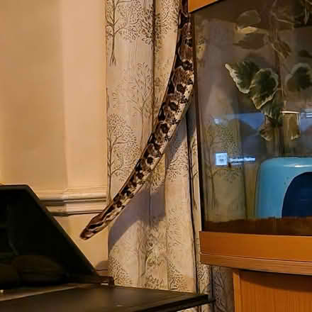 Photo of Vivariums (L13) #4