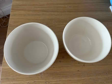 Photo of free Two large bowls (N13)