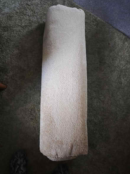 Photo of free Beige carpet off cut (topsham) #2