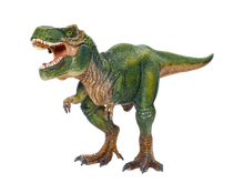 Photo of Dinosaurs or Hot Wheels (Ewloe Green CH5) #2