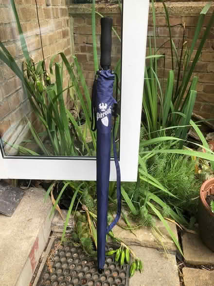 Photo of free Umbrella (Large) (Parliament Hill Fields, NW5) #3