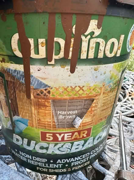Photo of free Cuprinal Duckback (Shaldon) #1