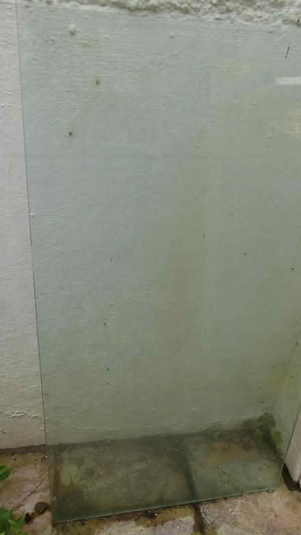 Photo of free Glass Sheet (Sanderstead South Croydon) #1