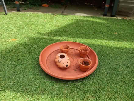 Photo of free Kid's Planting Set (Bruntsfield EH10) #1