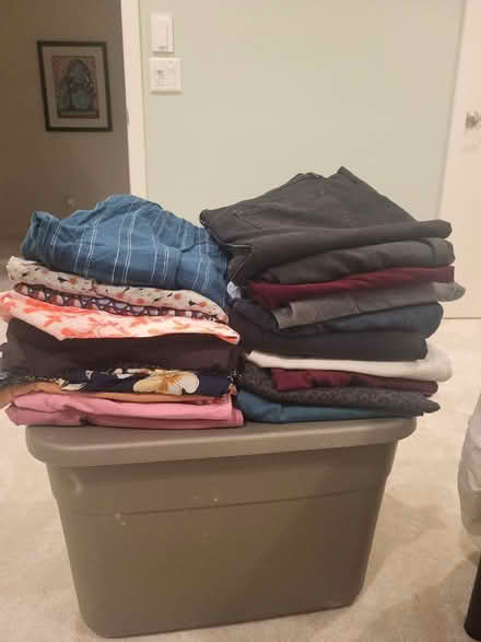 Photo of free Women's pants- size 10-12 (North Hollywood Arts District) #1