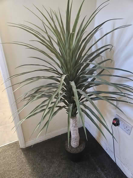 Photo of free Fake plant (Bowburn) #1